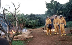 Filmilehest ja koroonast